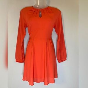 Express long sleeve chiffon dress